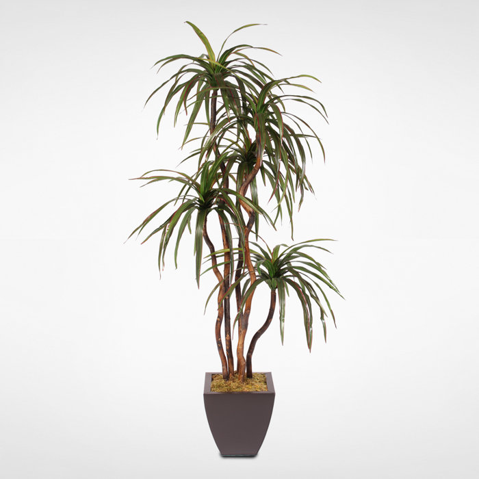 Brayden Studio® Silk Floor Yucca Tree in Planter Wayfair